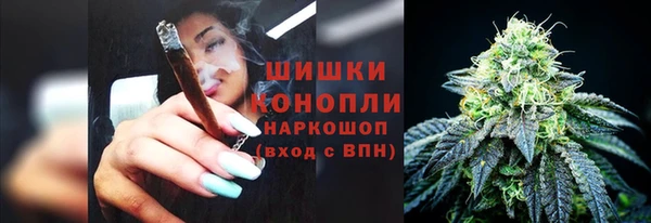 соль ск Осинники
