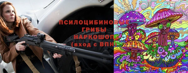 соль ск Осинники