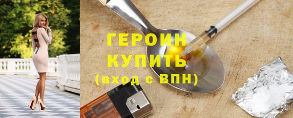 гашик Ельня