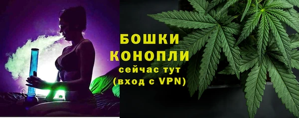 марки lsd Пересвет