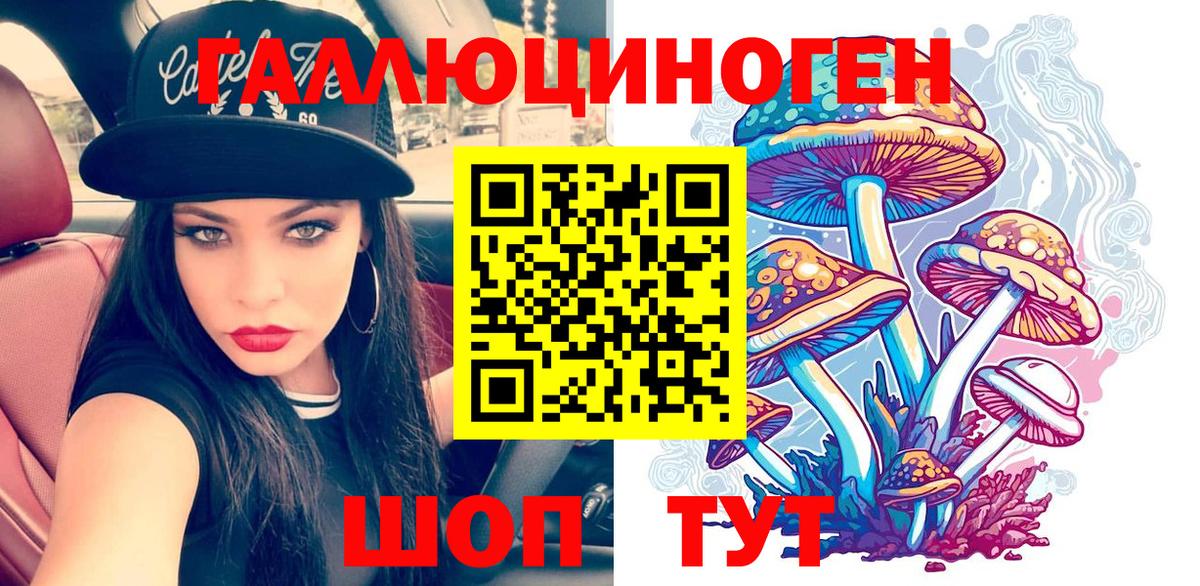 Галлюциногенные грибы GOLDEN TEACHER Зима