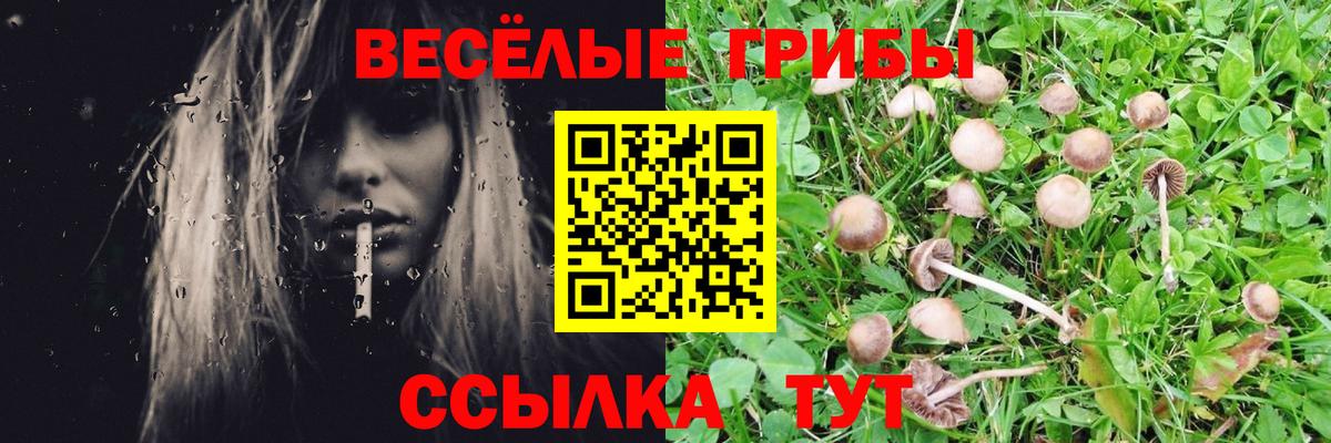 Псилоцибиновые грибы мухоморы  Вход с VPN  Зима  Галлюциногенные грибы прущие грибы 
